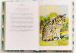 El pequeño libro de… Los gatos - Imagen 4