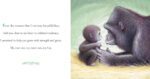 Why a Son Needs a Dad - Imagen 5