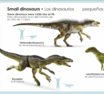 My First Bilingual Dinosaurs - Imagen 2