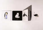 Baby's Black and White Contrast Book - Imagen 4