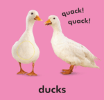 Baby Touch and Feel Farm Friends - Imagen 4