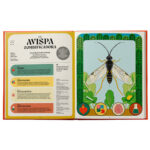 Superpoderes de los insectos - Imagen 3