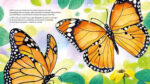 Mariposas. Cuando las familias cambian - Imagen 4