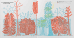 ¿Qué se esconde en el bosque? - Imagen 4