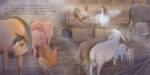 The Christmas Blessing - Imagen 4