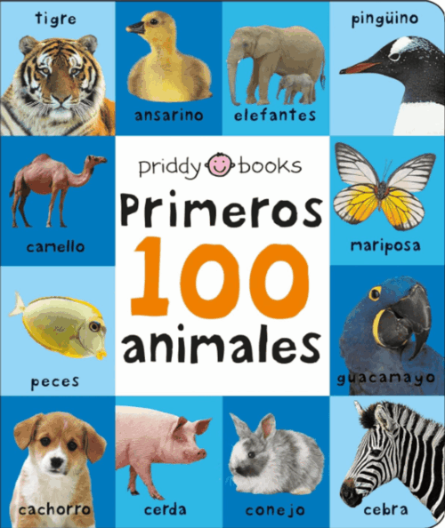 Mentes Curiosas