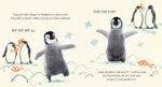 Buenas noches, Pingüinito - Imagen 3