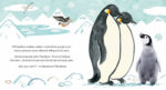 Buenas noches, Pingüinito - Imagen 4