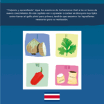Viajando y Aprendiendo ¡Un Gallo Pinto para iniciar con Energía! - Imagen 3